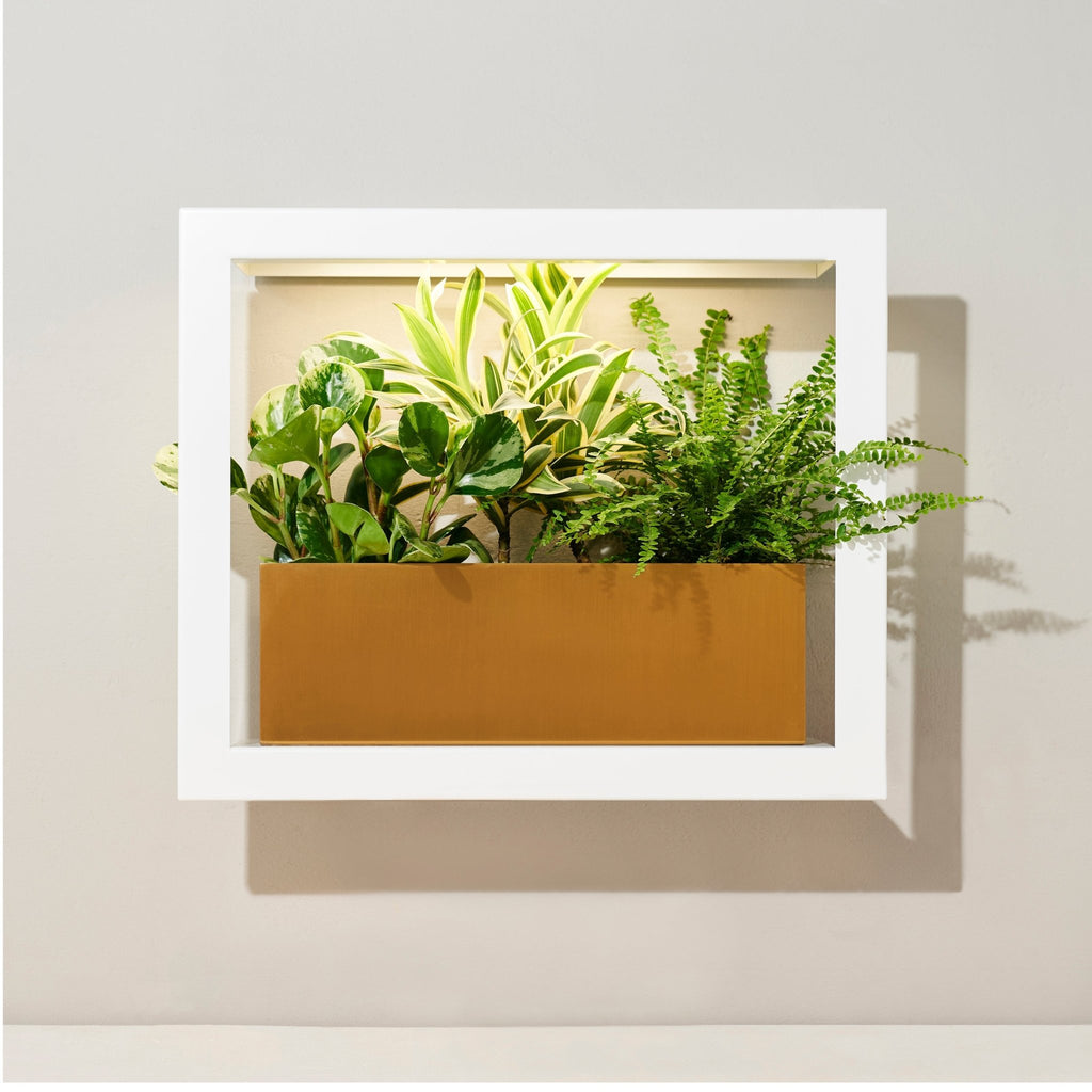 Smart Standard Growframe - Cheeky Garden
