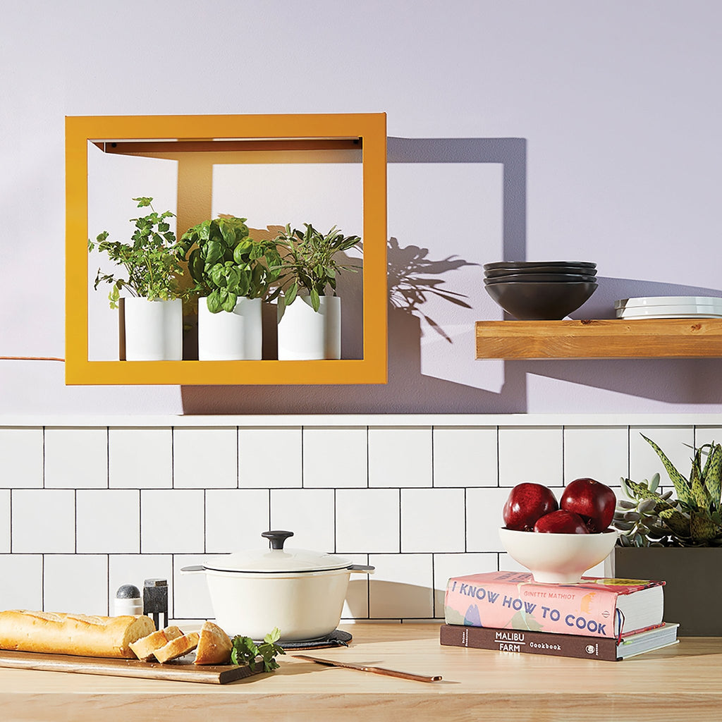 Smart Standard Growframe - Cheeky Garden