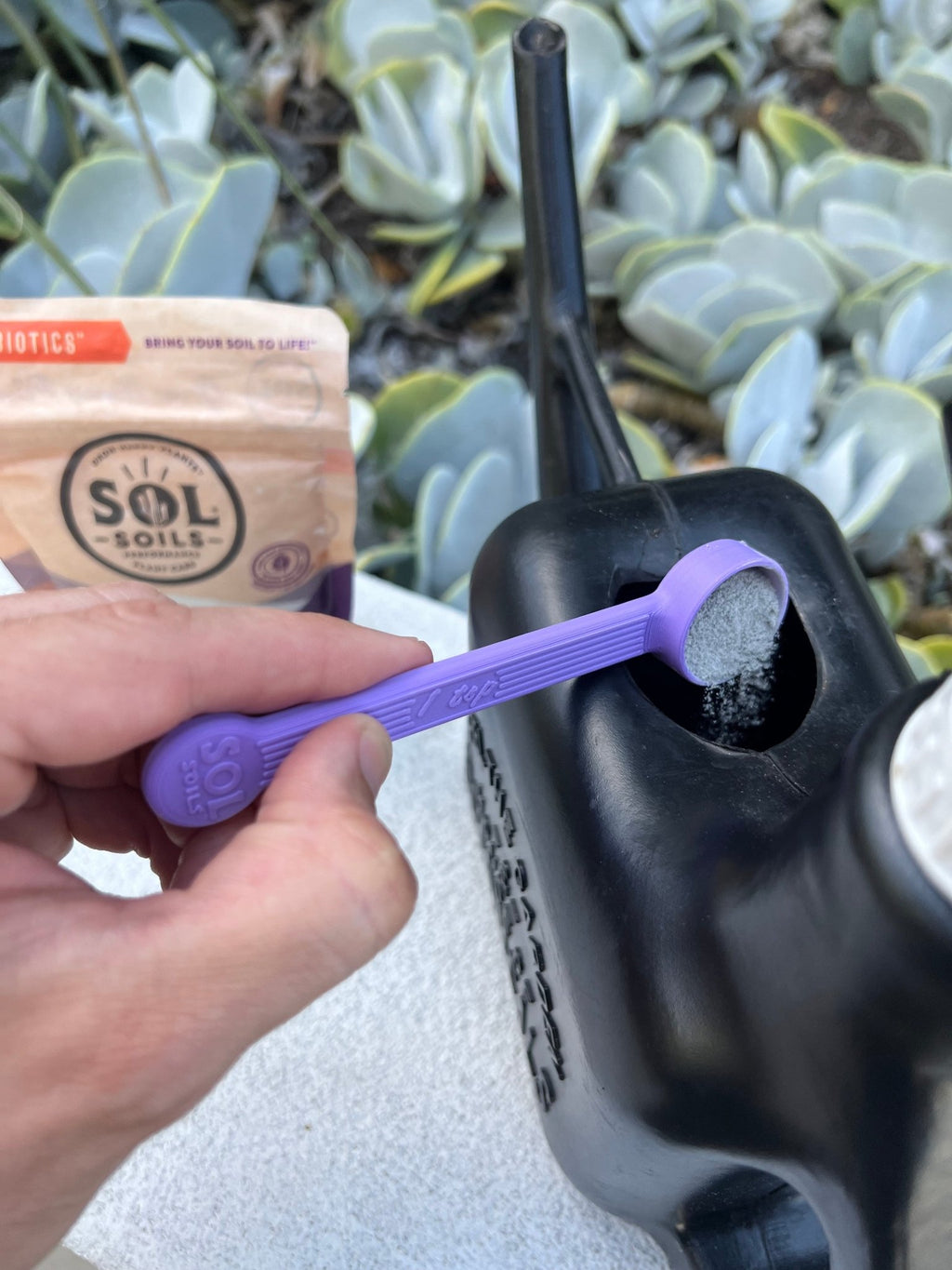 Sol Biotics Purple Powder Spoon – 1 Teaspoon Measuring Spoon - Cheeky Garden