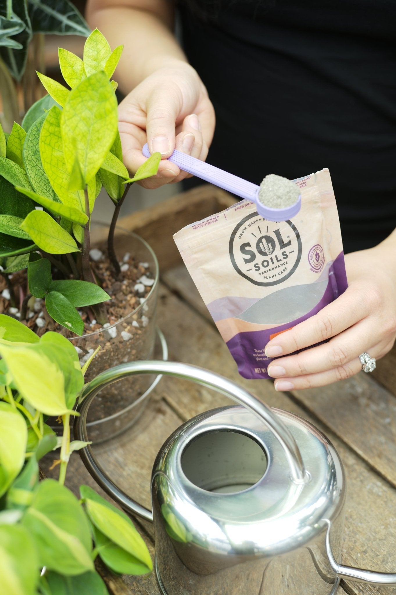 Sol Biotics Purple Powder Spoon – 1 Teaspoon Measuring Spoon - Cheeky Garden