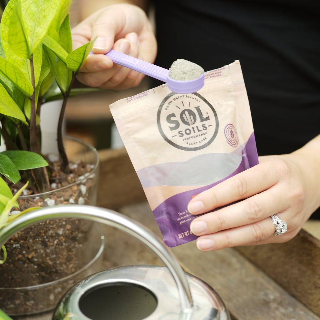 Sol Biotics Repot Recovery – Repotting Shock Treatment - Cheeky Garden