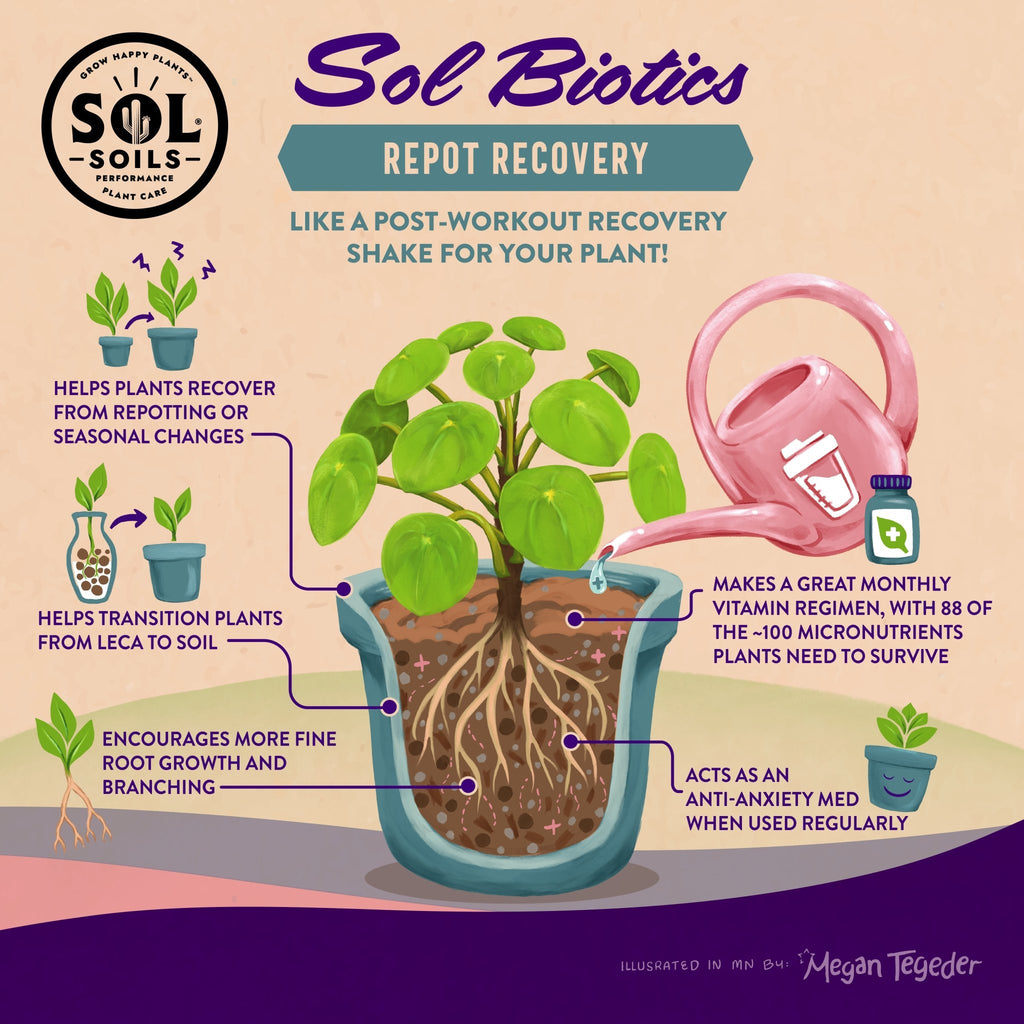 Sol Biotics Repot Recovery – Repotting Shock Treatment - Cheeky Garden