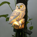 Solar LED Waterproof Premium Garden And Yard Lamp In Shape Of Owl With Stand And Solar Base Pathway Luxury Decoration - Cheeky Garden