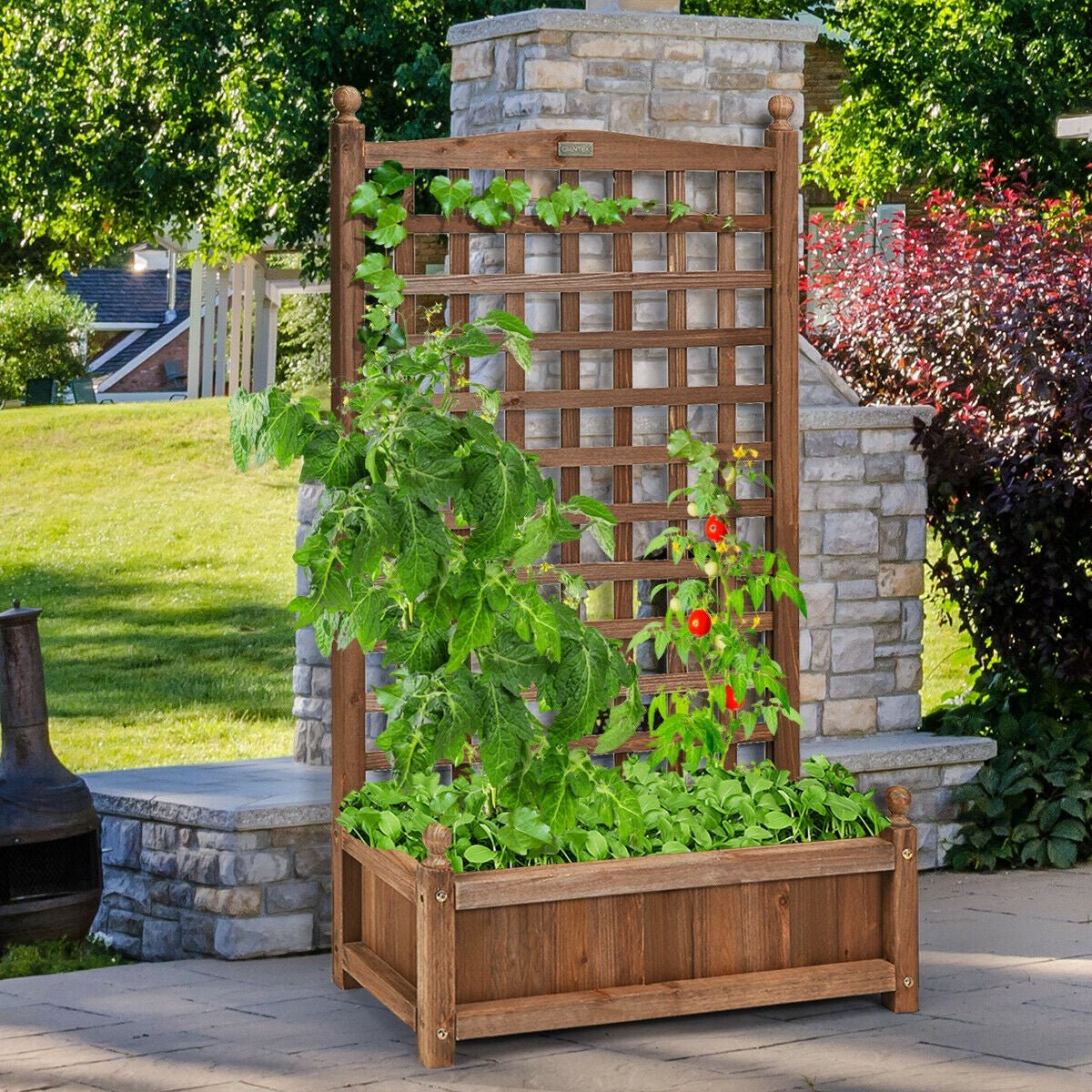 Solid Free Standing Wood Planter Box with Trellis for Garden - Cheeky Garden