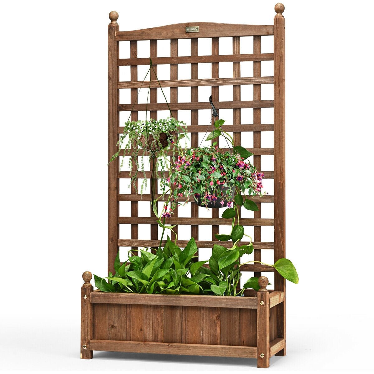 Solid Free Standing Wood Planter Box with Trellis for Garden - Cheeky Garden