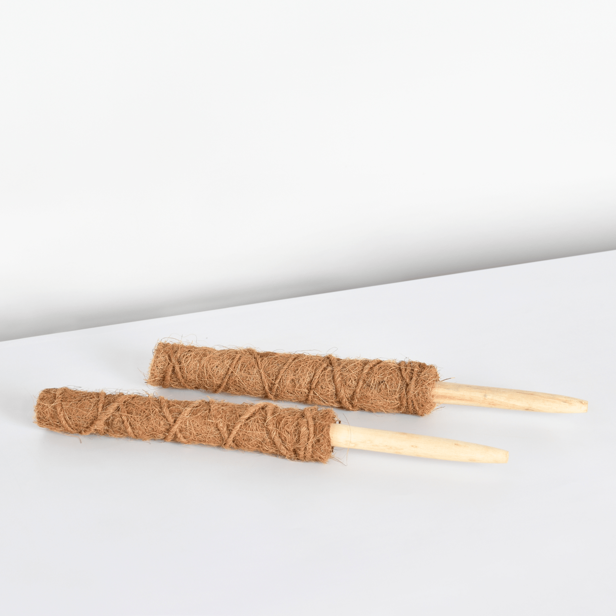Stackable Coco Moss Pole – 18" Plant Support - Cheeky Garden