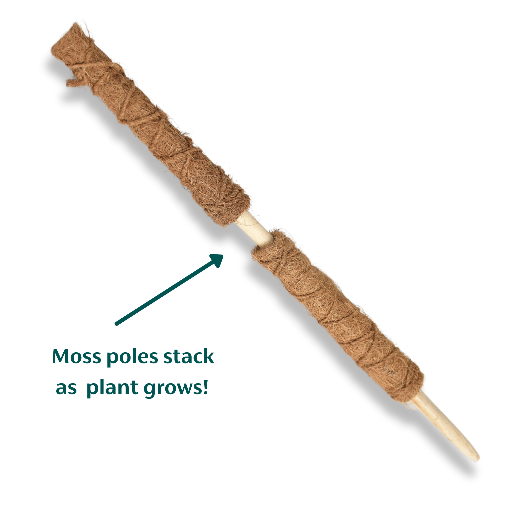 Stackable Coco Moss Pole – 18" Plant Support - Cheeky Garden