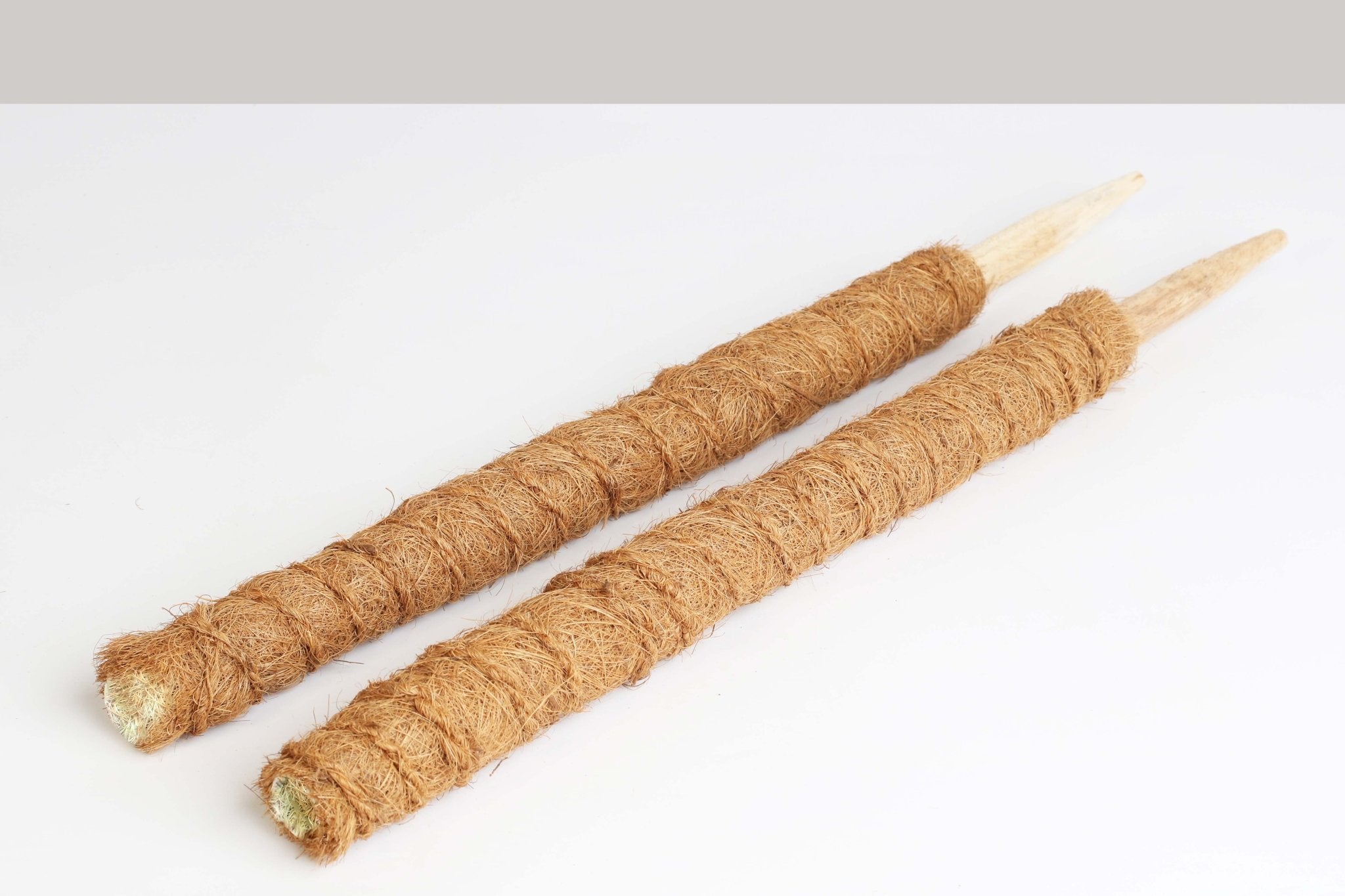 Stackable Coco Moss Pole – 18" Plant Support - Cheeky Garden