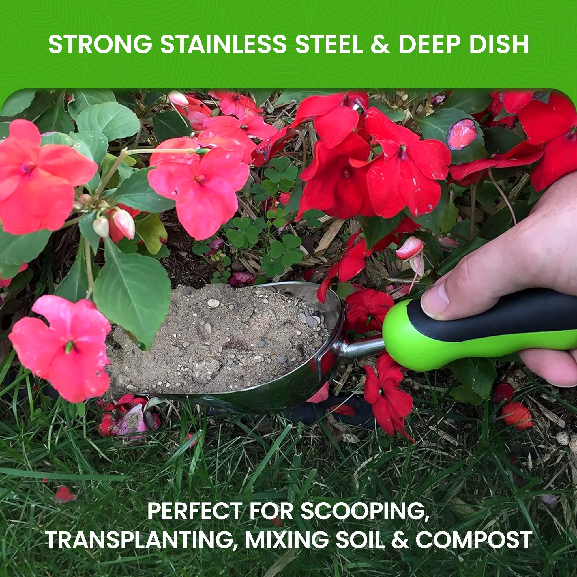 Stainless Steel Garden Scoop Trowel - Cheeky Garden