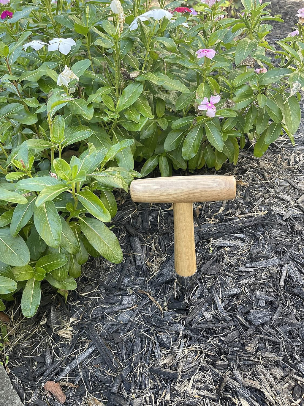 Steel Garden Dibber Planting Tool - Cheeky Garden