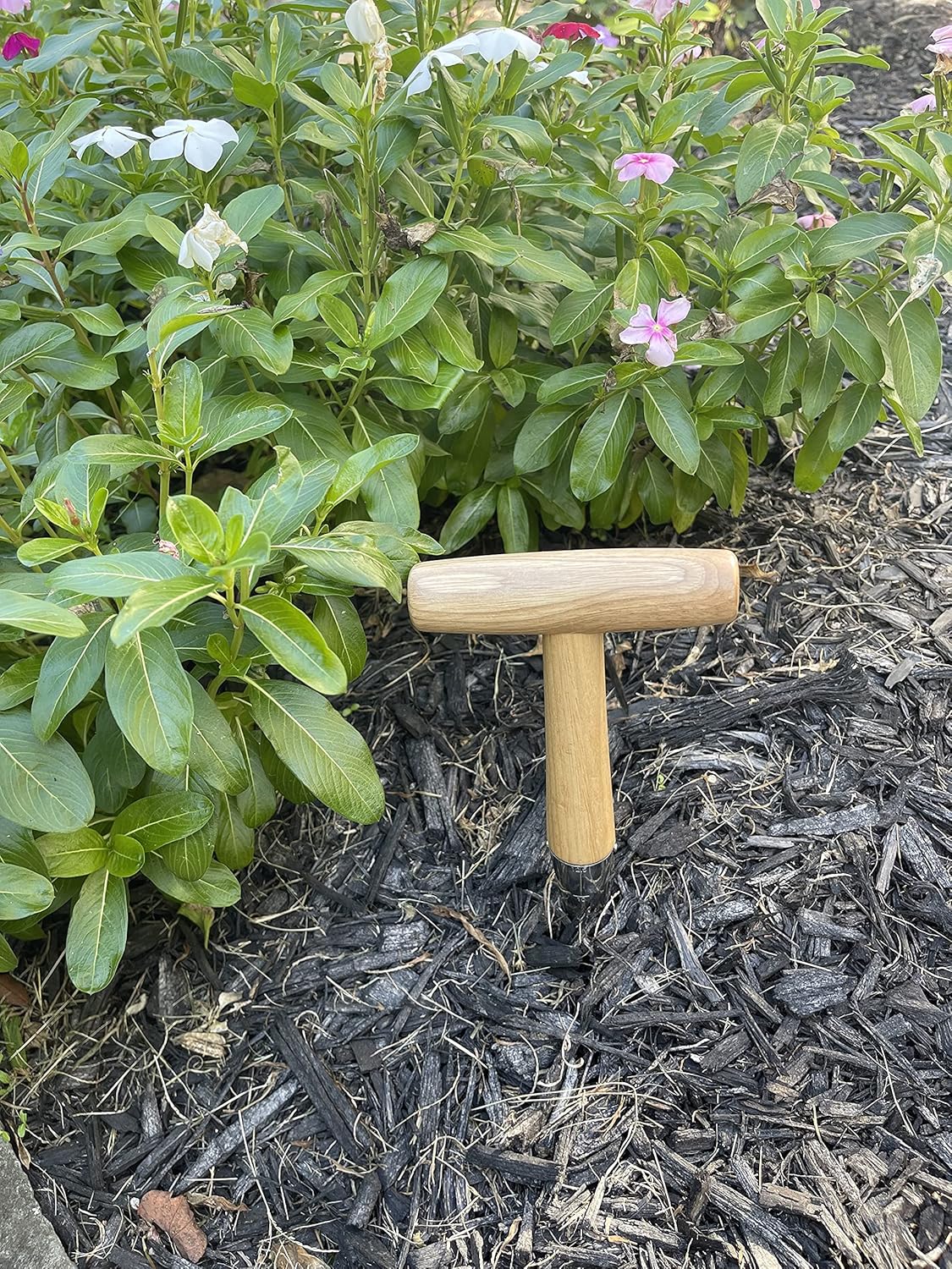 Steel Garden Dibber Planting Tool - Cheeky Garden