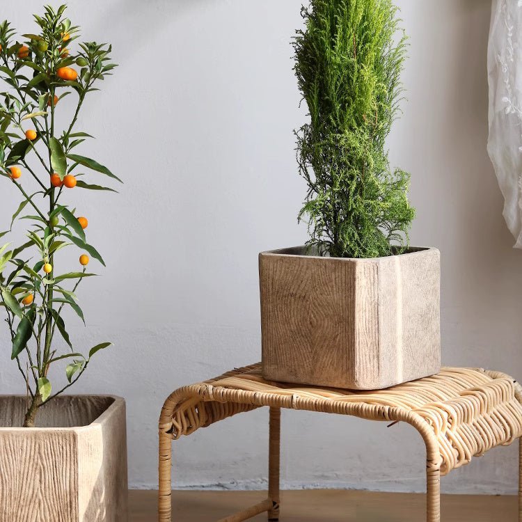 StoneGrain Square Planter - Cheeky Garden