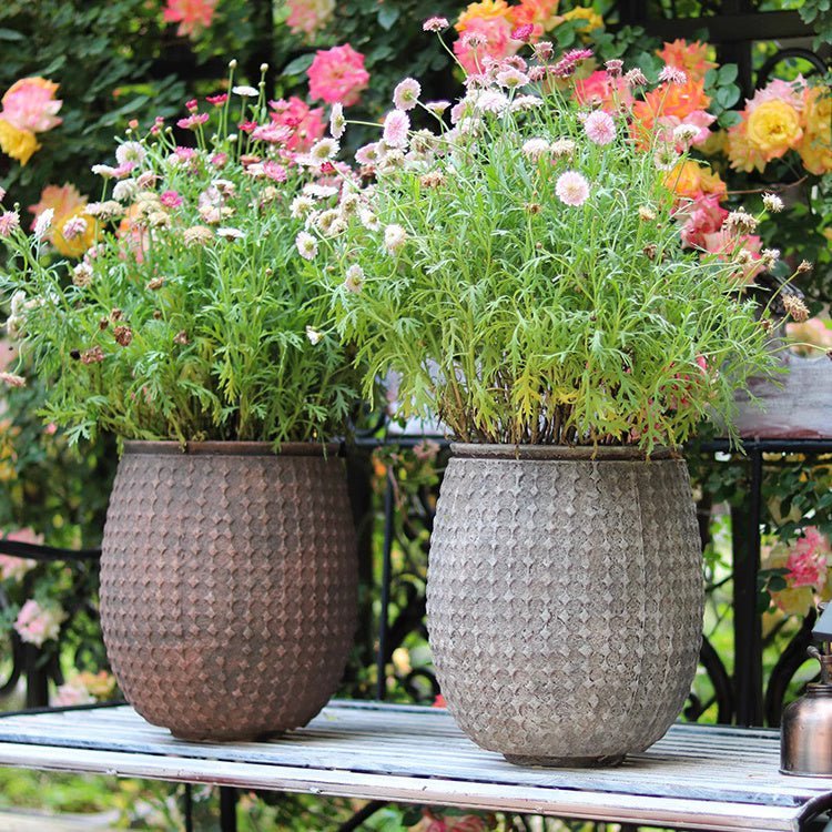 StoneNest Textured Planter - Cheeky Garden