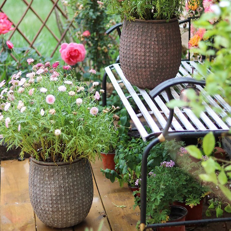 StoneNest Textured Planter - Cheeky Garden