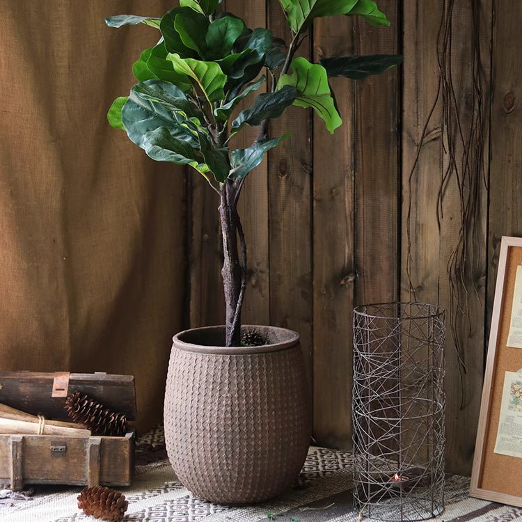 StoneNest Textured Planter - Cheeky Garden