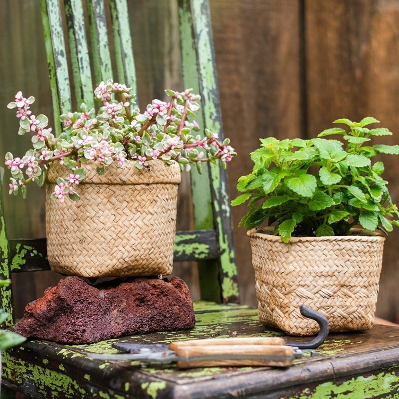 Straw Basket Style Concrete Planter - Cheeky Garden