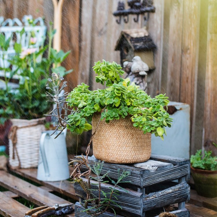 Straw Basket Style Concrete Planter - Cheeky Garden