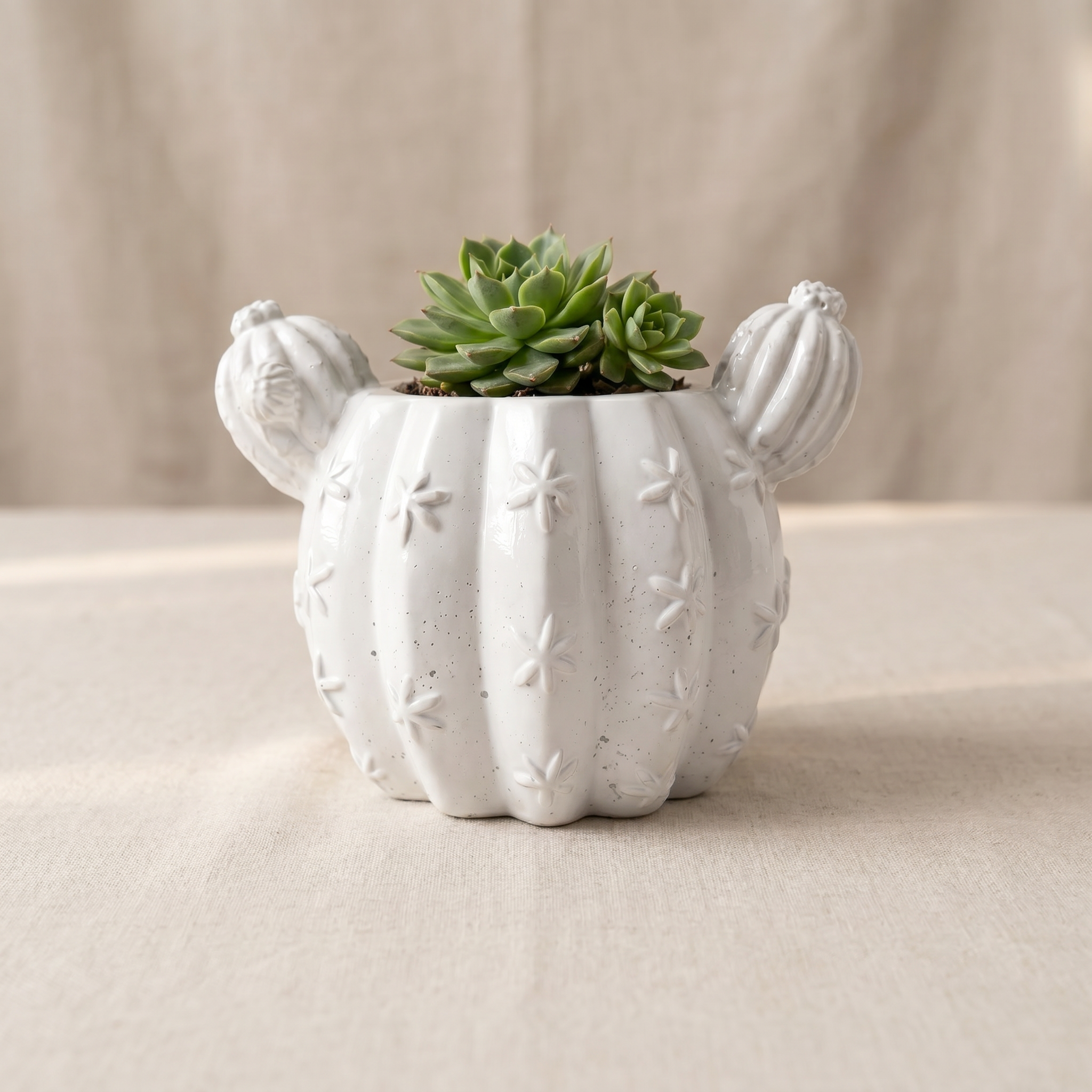 Barrel Cactus Planter – Gypsum White 3.5"