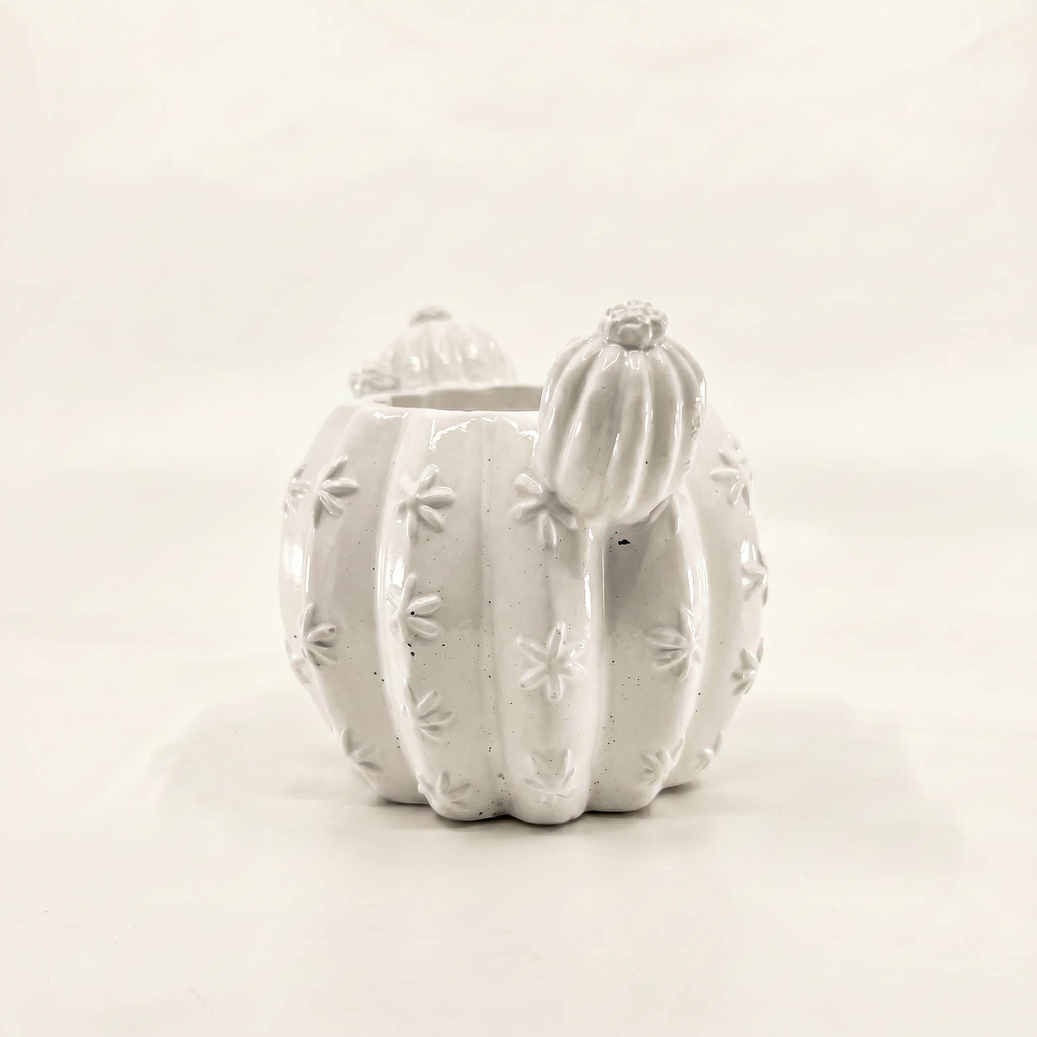 Barrel Cactus Planter – Gypsum White 3.5"