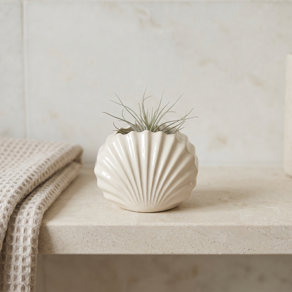 Mini Clam Shell Planter – Gypsum White 3"