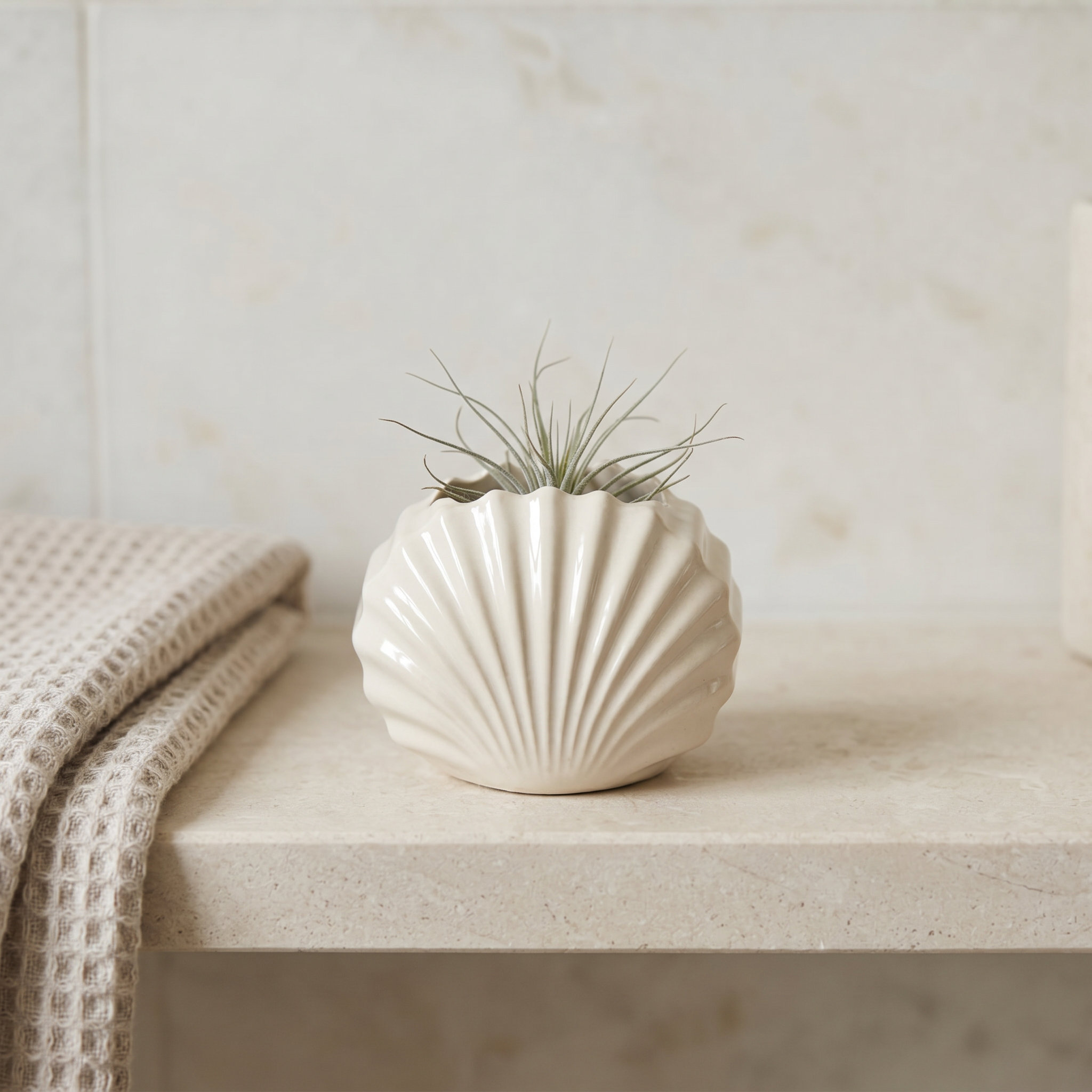 Mini Clam Shell Planter – Gypsum White 3"