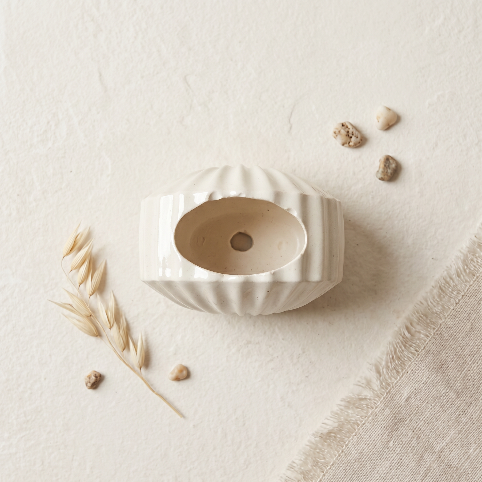 Mini Clam Shell Planter – Gypsum White 3"