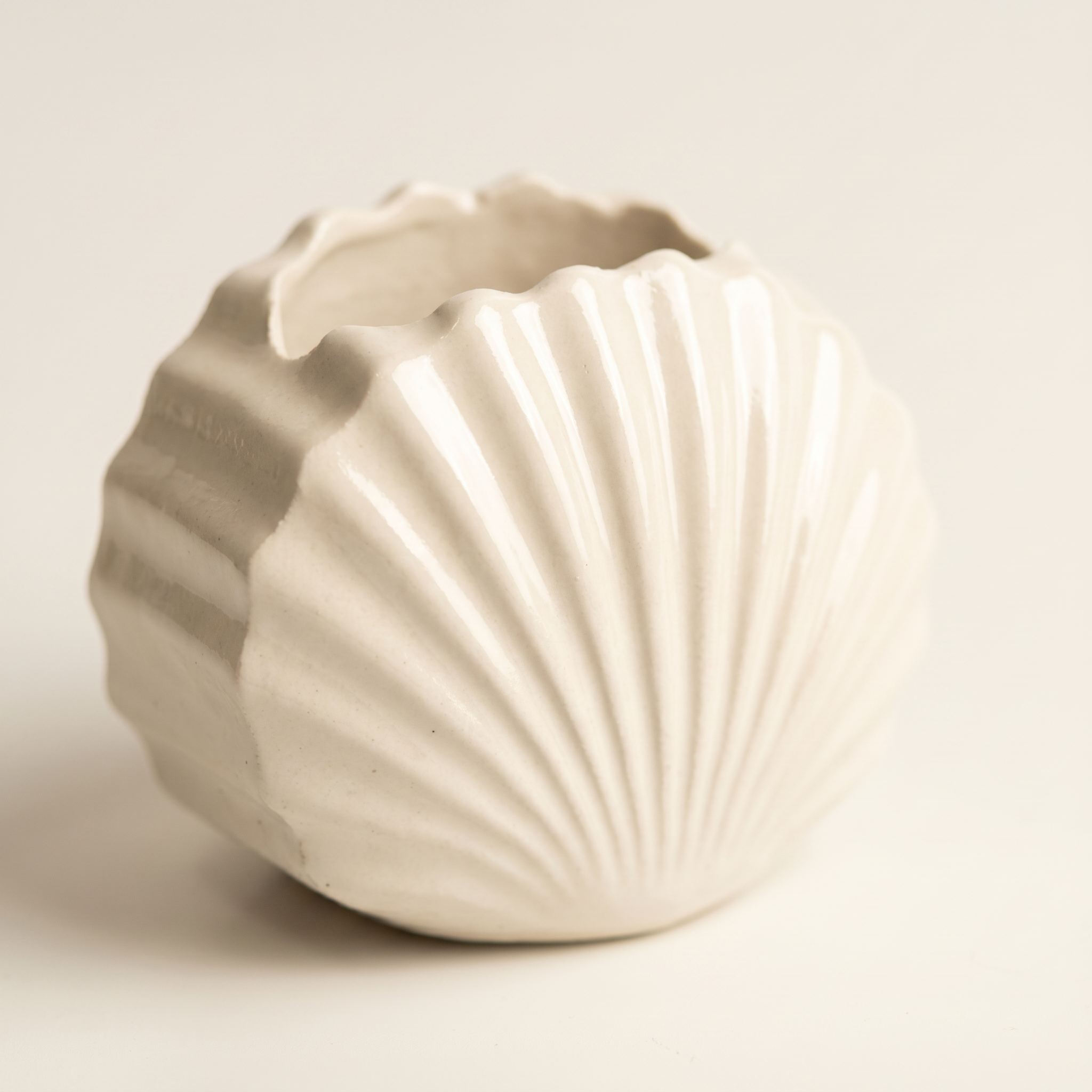 Mini Clam Shell Planter – Gypsum White 3"
