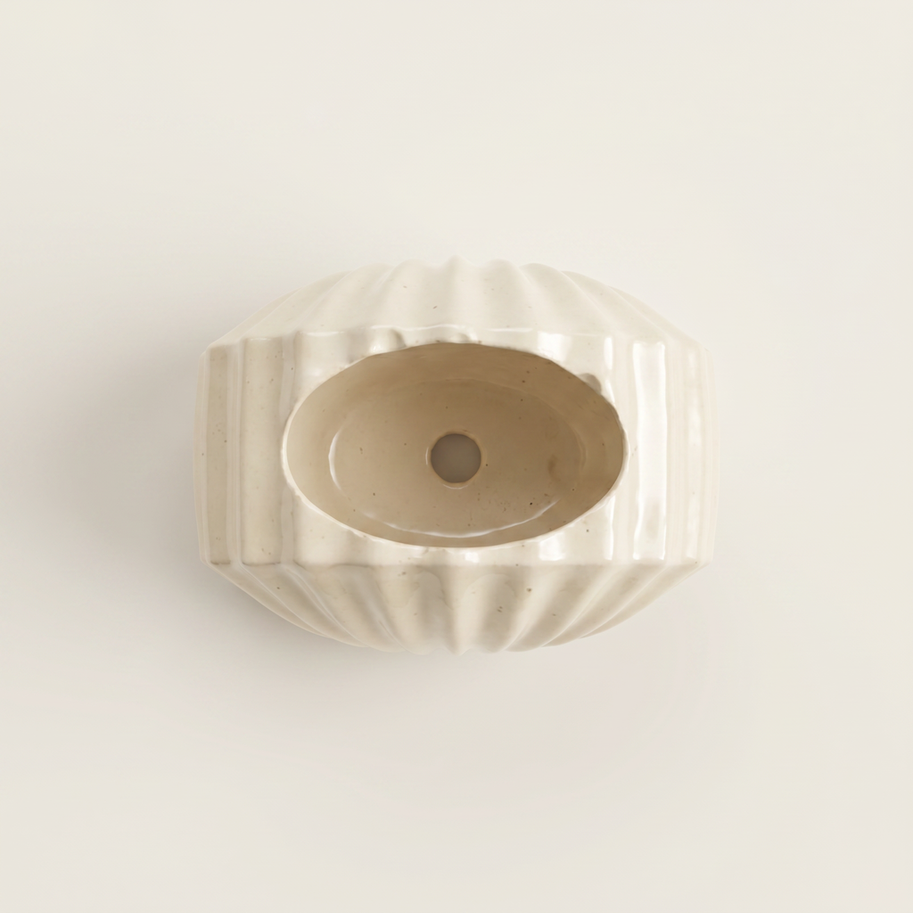 Mini Clam Shell Planter – Gypsum White 3"