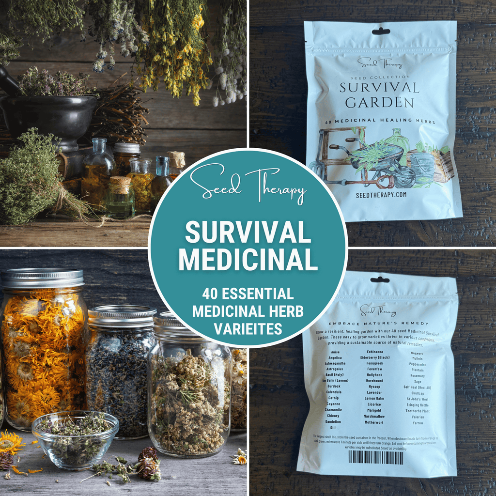 Survival Medicinal Herb Garden – 40 Essential Varieties - Cheeky Garden
