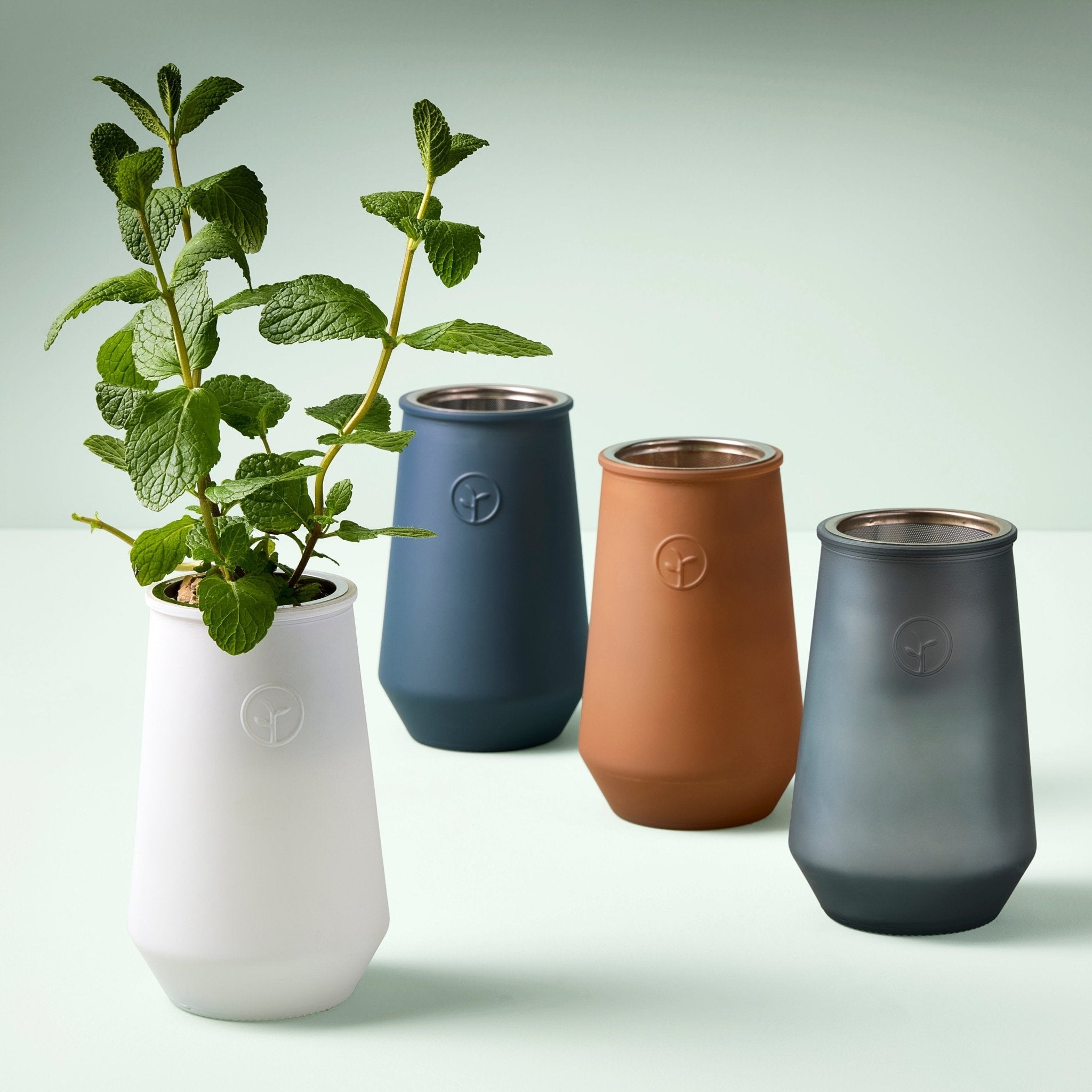 Tapered Tumbler Grow Kits - Cheeky Garden