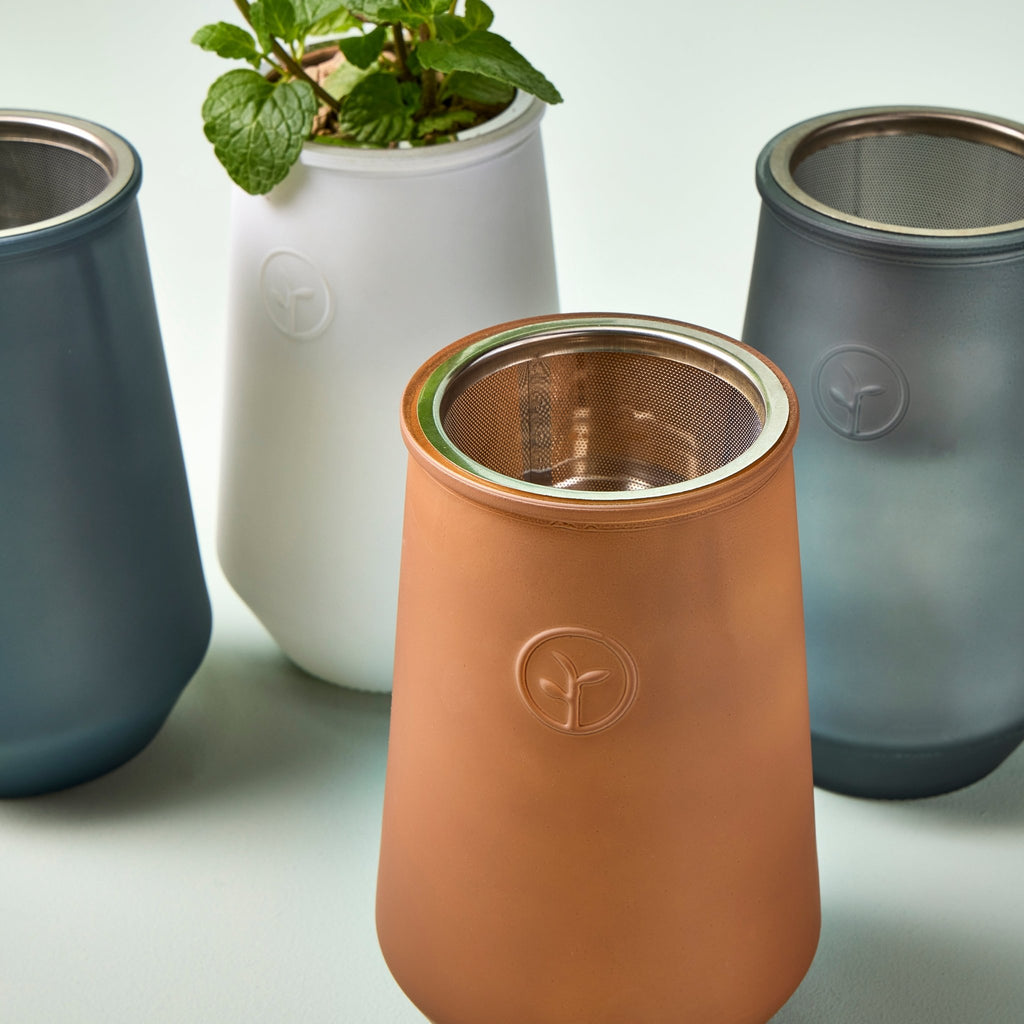 Tapered Tumbler Grow Kits - Cheeky Garden