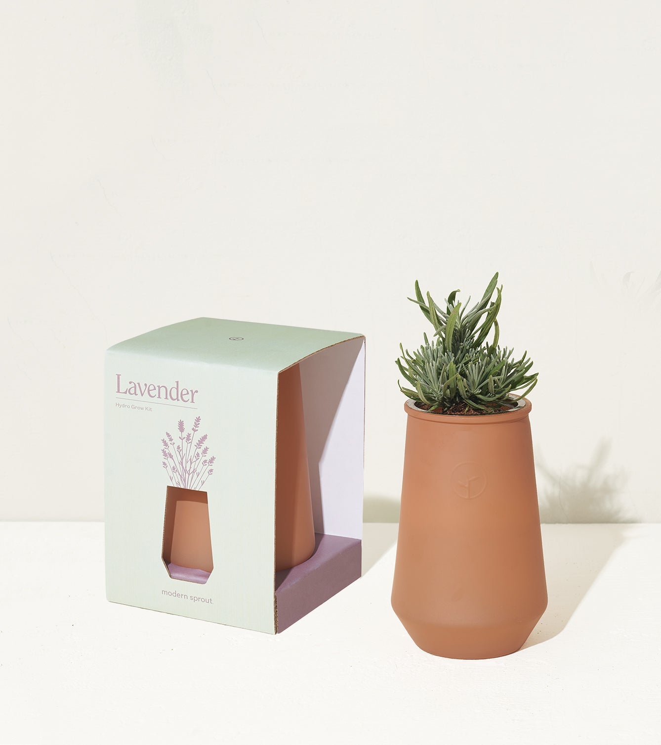 Tapered Tumbler Grow Kits - Cheeky Garden