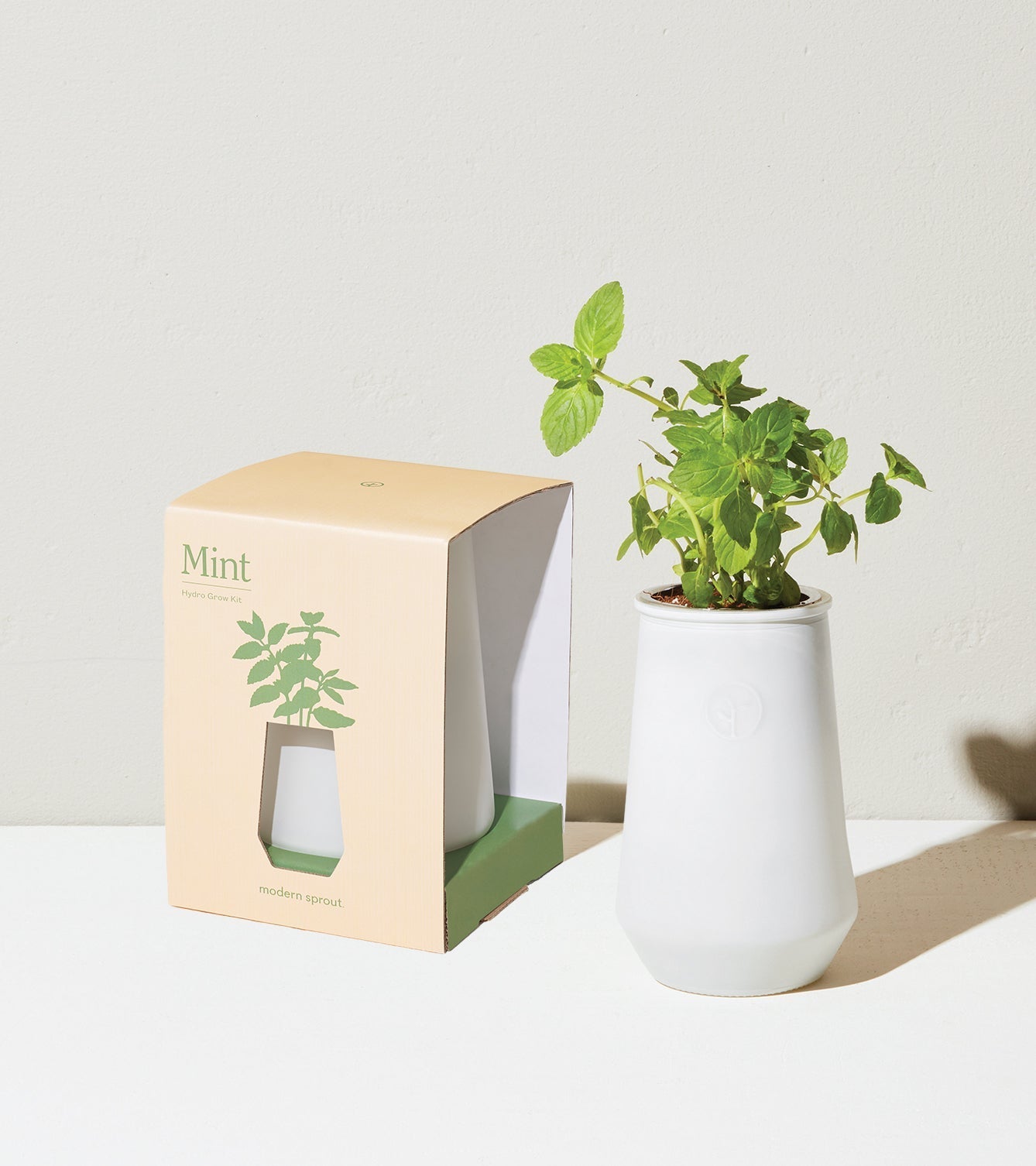 Tapered Tumbler Grow Kits - Cheeky Garden