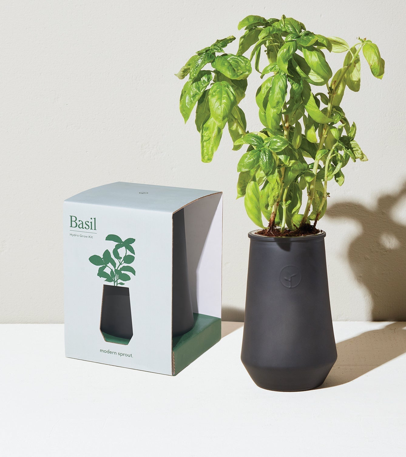 Tapered Tumbler Grow Kits - Cheeky Garden
