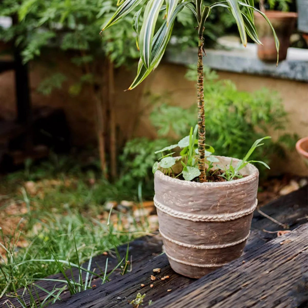 Tasha Red Terracotta Planter - Cheeky Garden