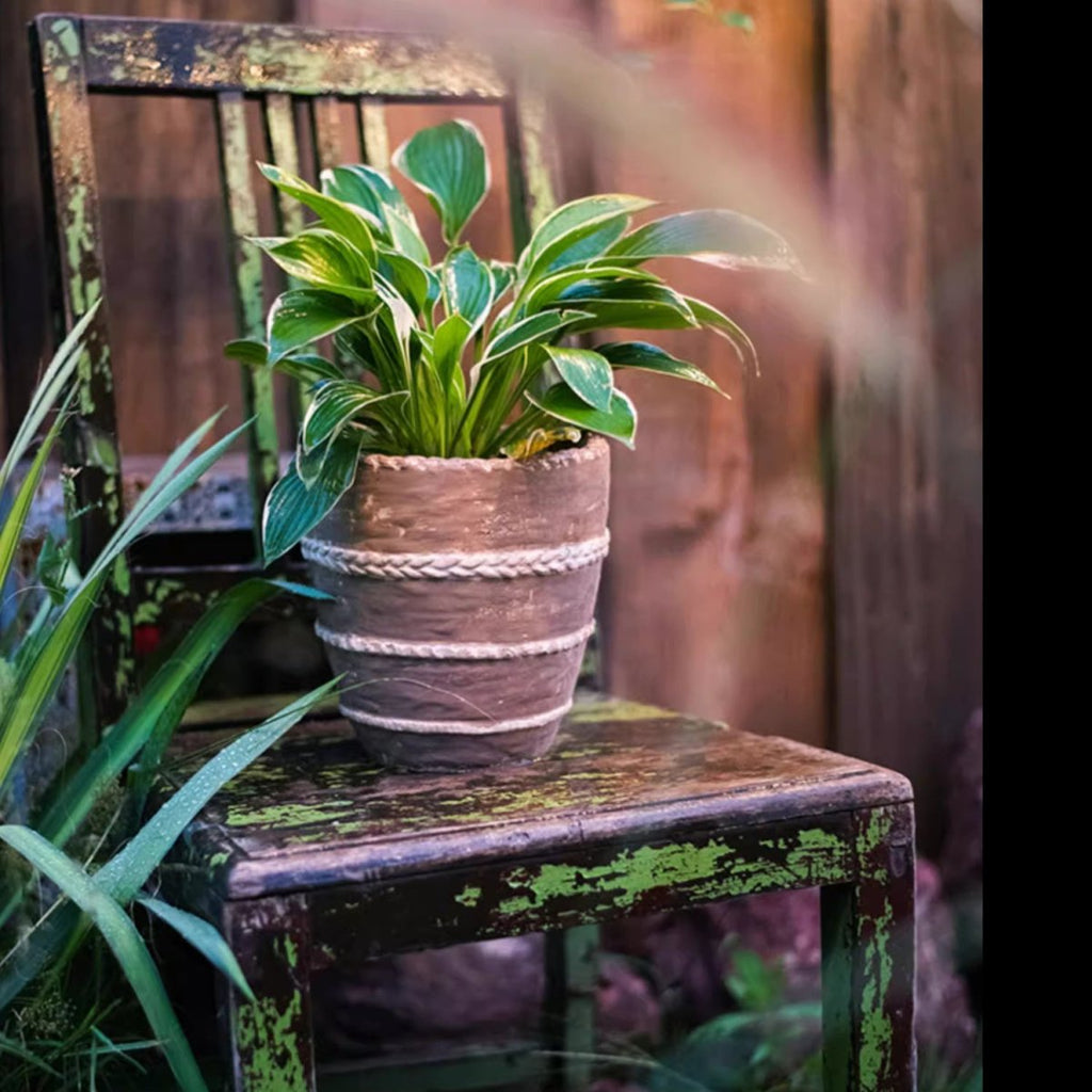 Tasha Red Terracotta Planter - Cheeky Garden