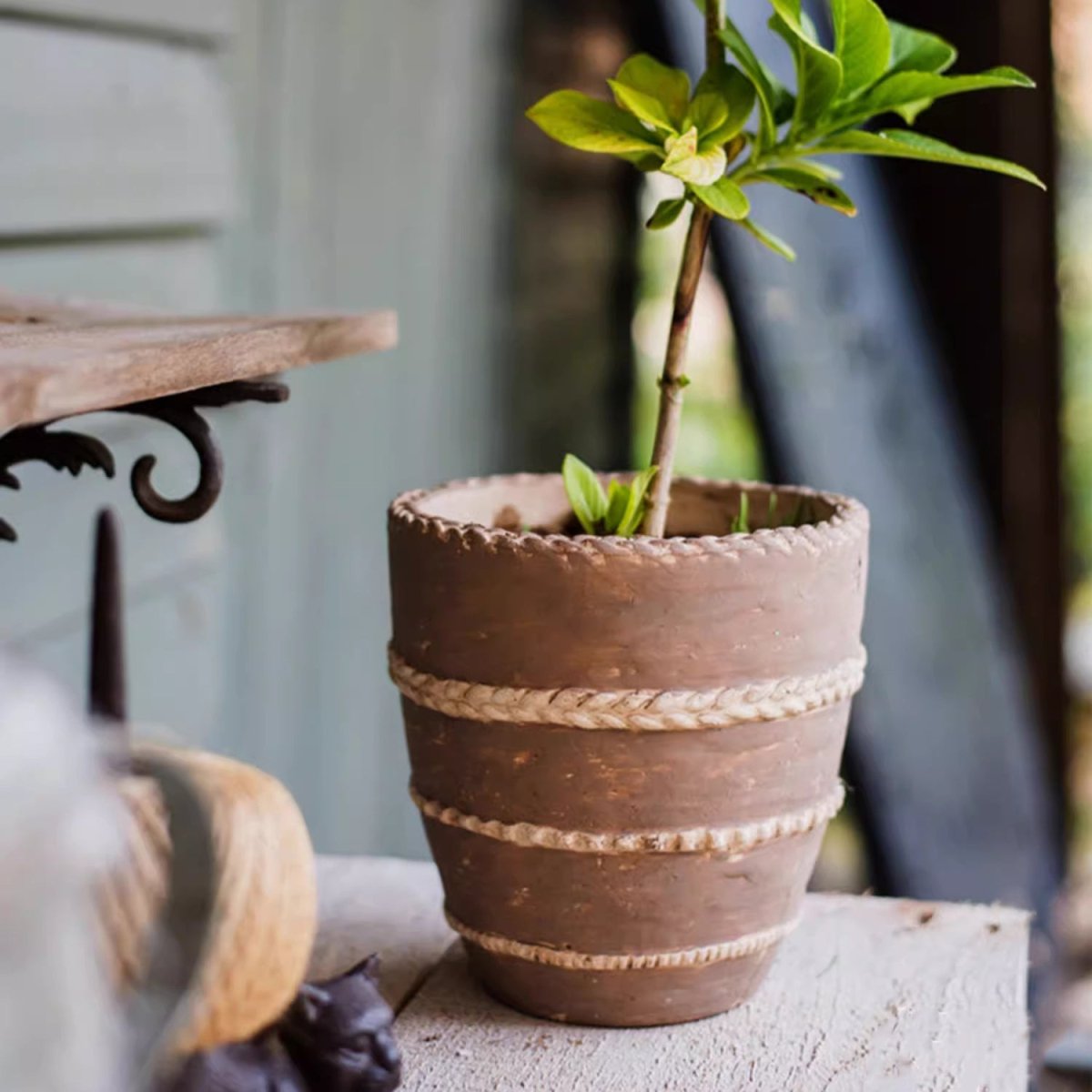 Tasha Red Terracotta Planter - Cheeky Garden