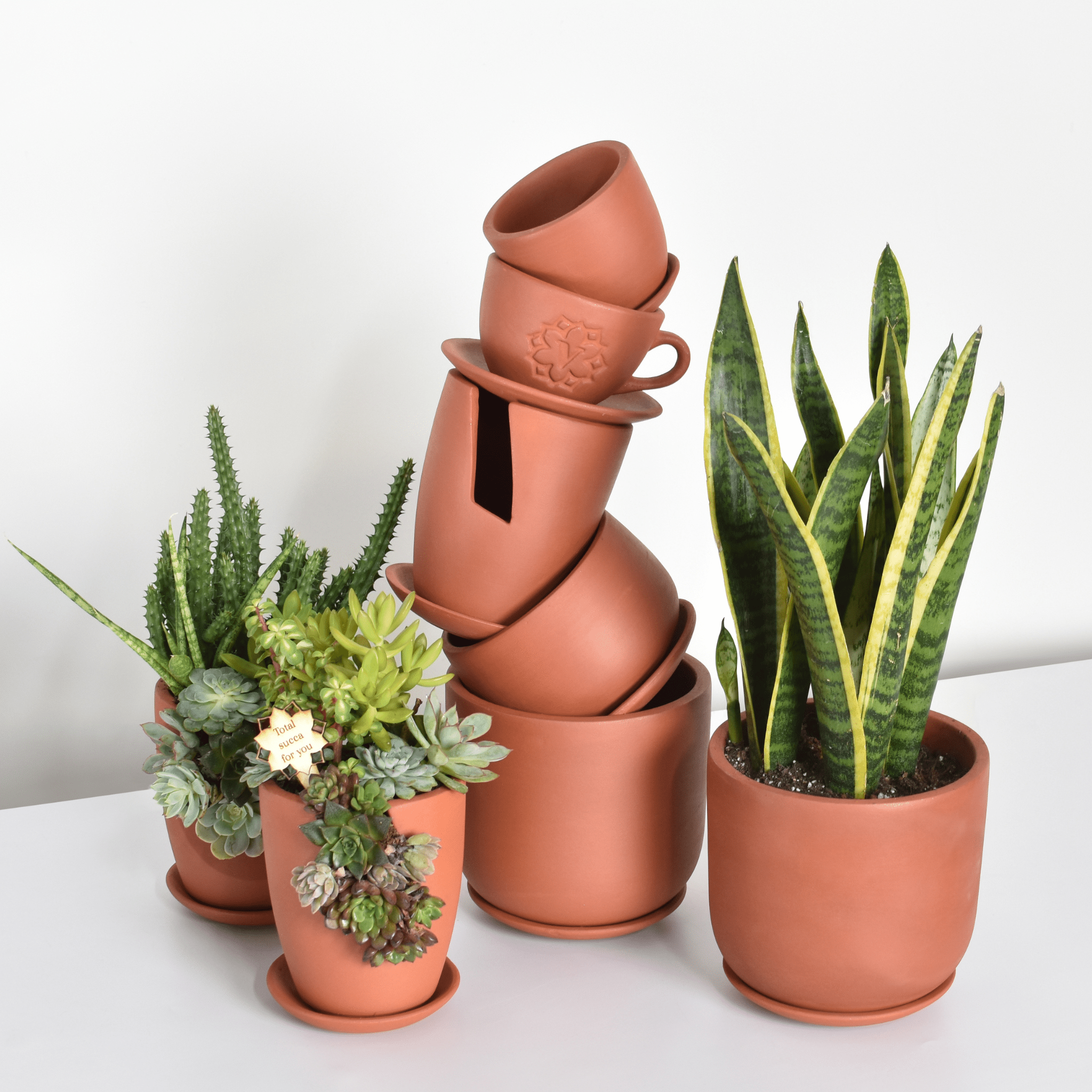 Terracotta Planter Bundle – Set of 5 - Cheeky Garden