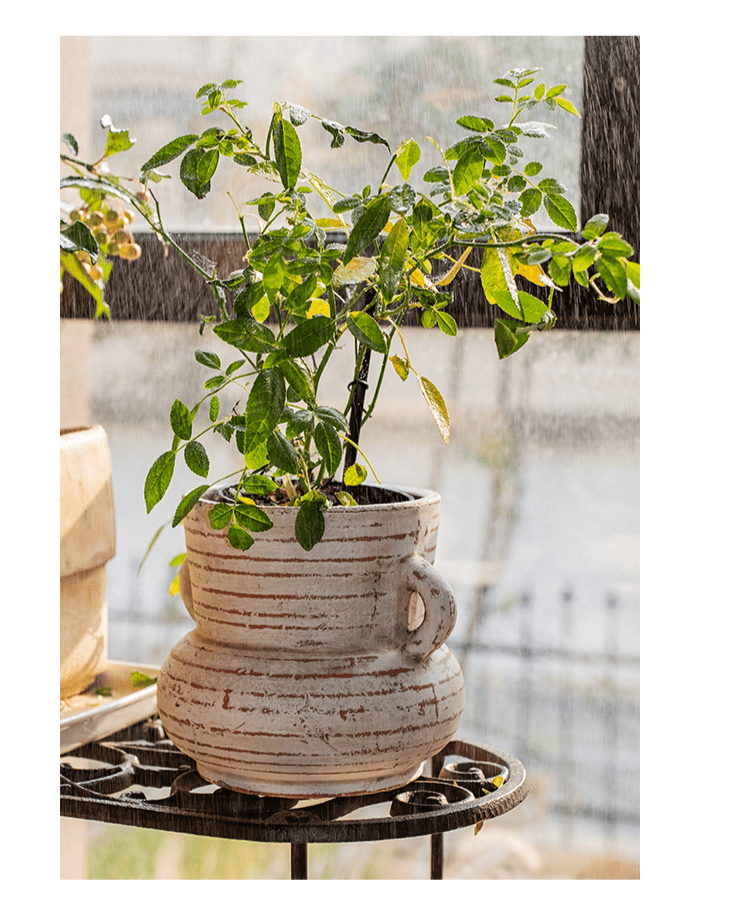 Terracotta Planter Vase with Handles - Cheeky Garden