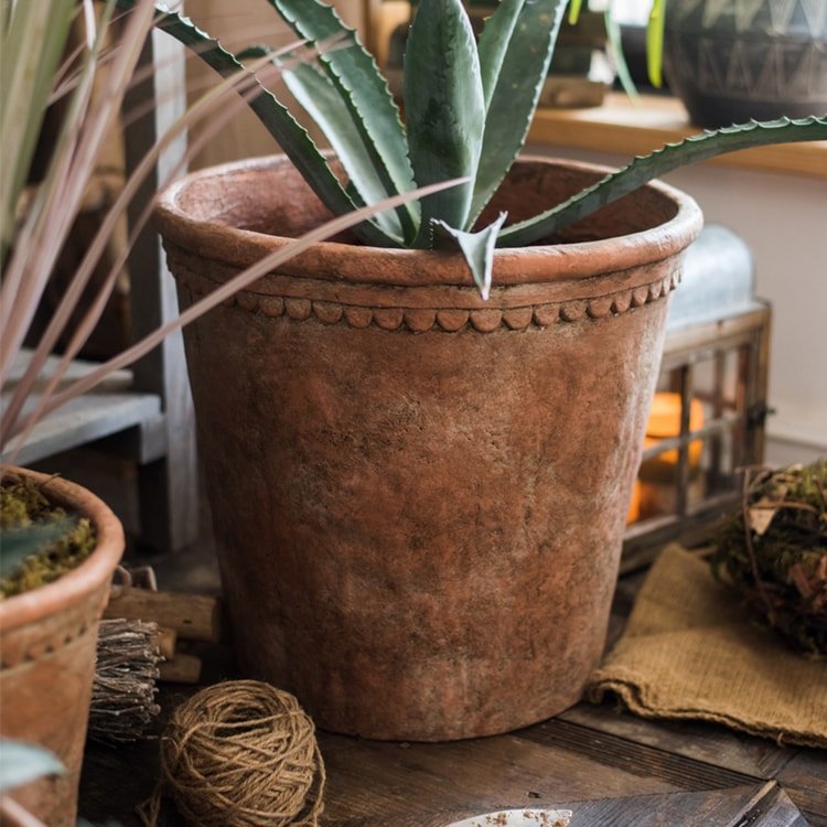Terracotta Red Concrete Planter Pot - Cheeky Garden