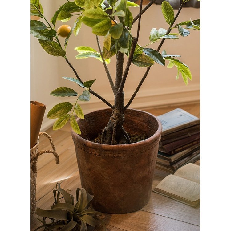 Terracotta Red Concrete Planter Pot - Cheeky Garden