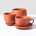 Terracotta Trio Planter Signature Bundle - Cheeky Garden