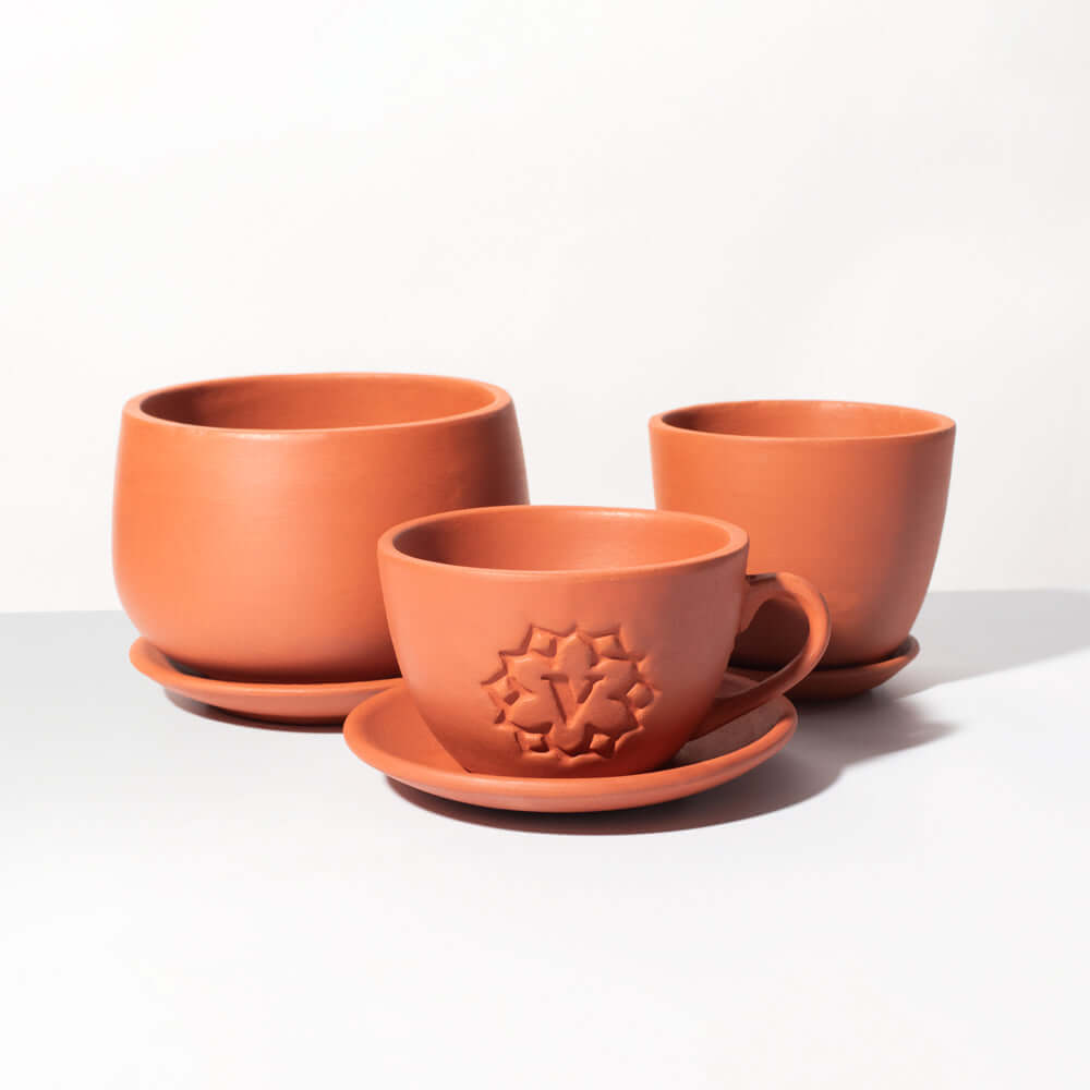 Terracotta Trio Planter Signature Bundle - Cheeky Garden