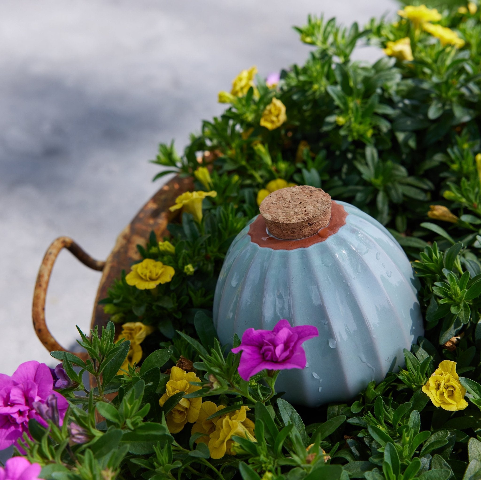 Terracotta Watering Bulbs - Cheeky Garden