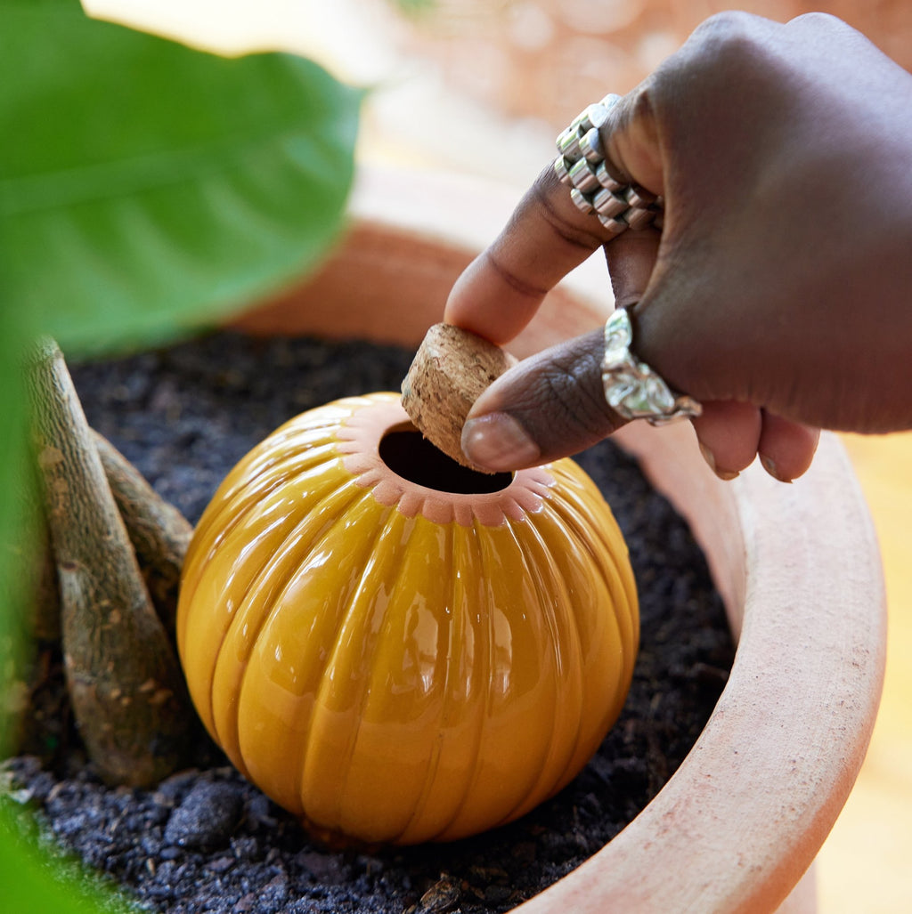 Terracotta Watering Bulbs - Cheeky Garden