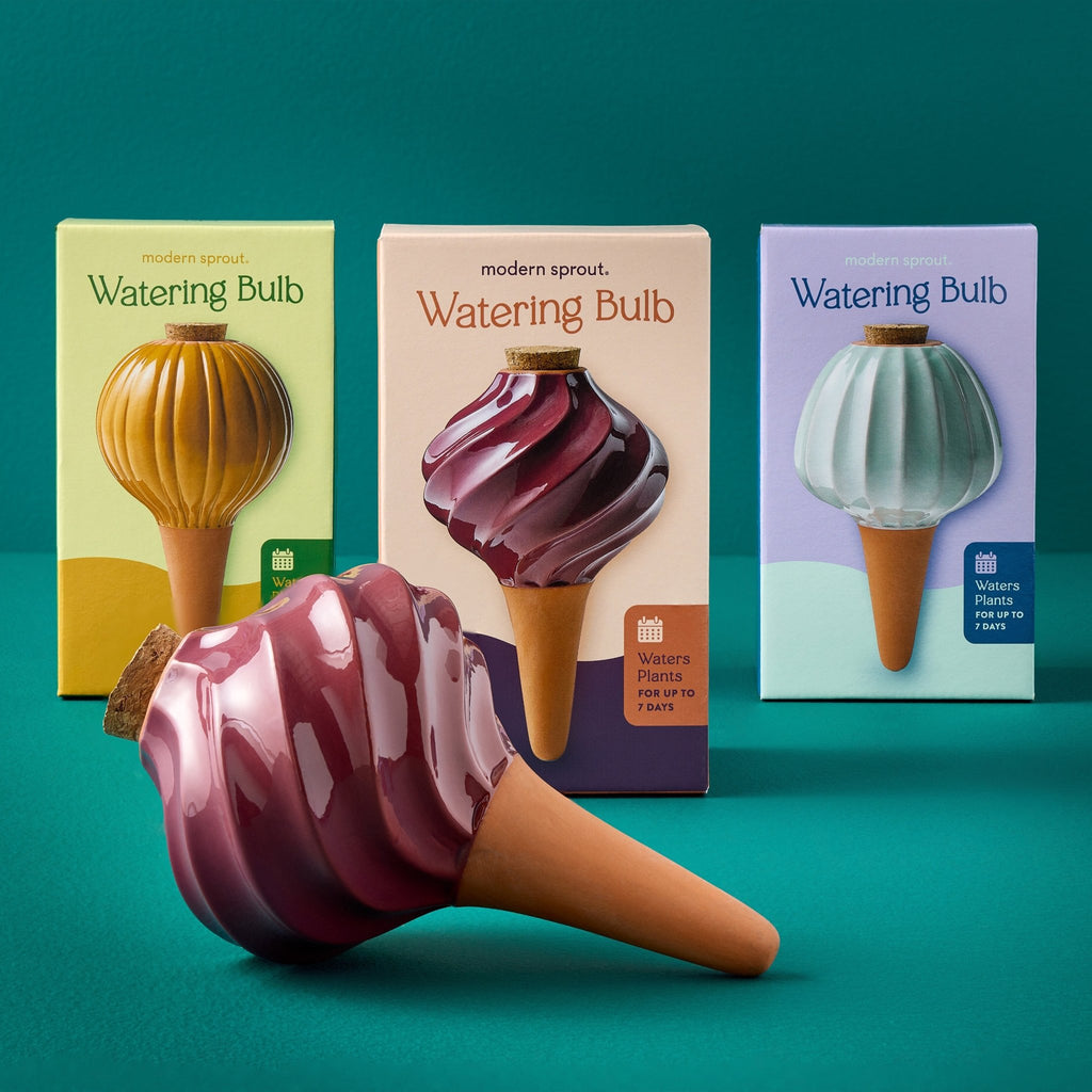 Terracotta Watering Bulbs - Cheeky Garden