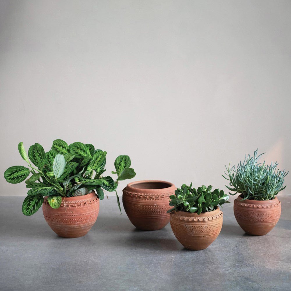 Textured Terracotta Pot - Cheeky Garden