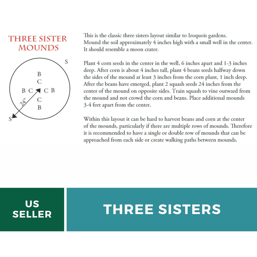 Three Sisters Seed Collection – Native American Farming – Corn, Bean, Squash - Cheeky Garden