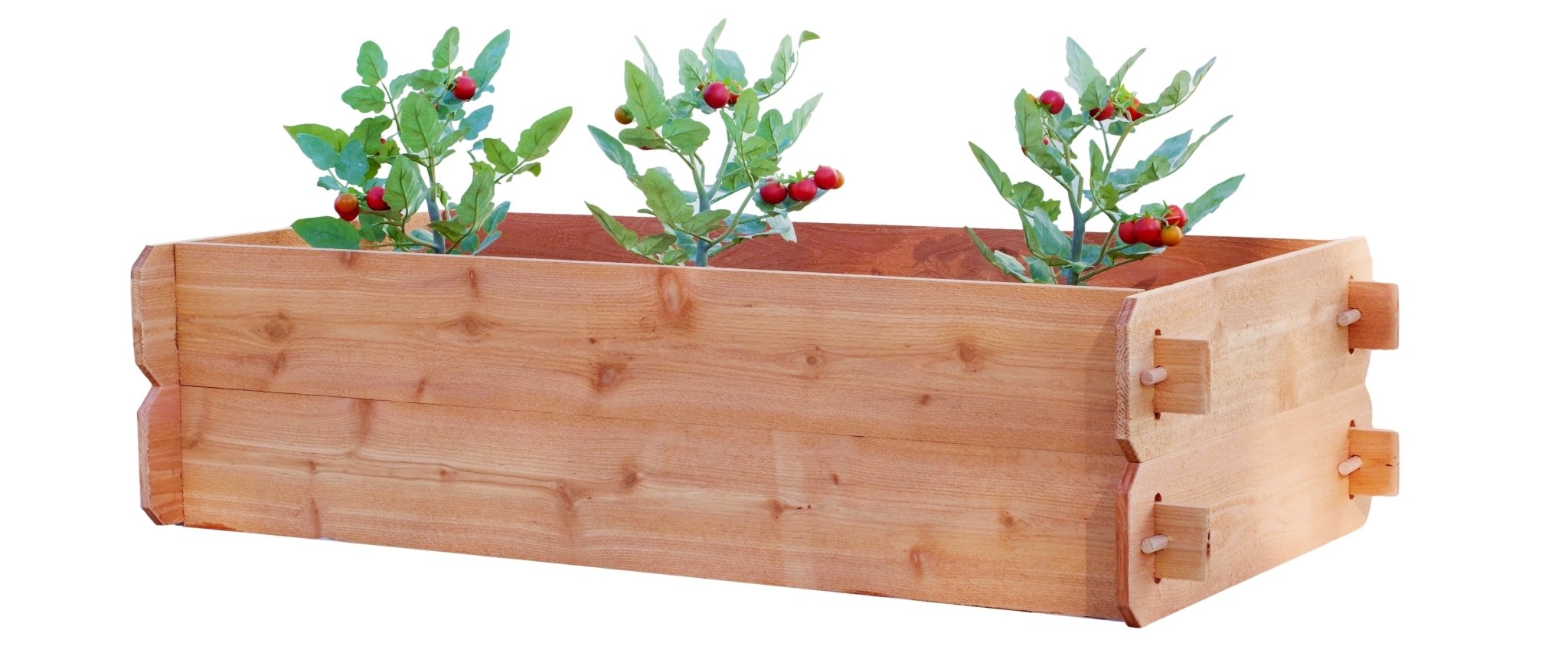 Timberlane Gardens Double Deep Cedar Raised Bed Kit – Two 2×4 - Cheeky Garden