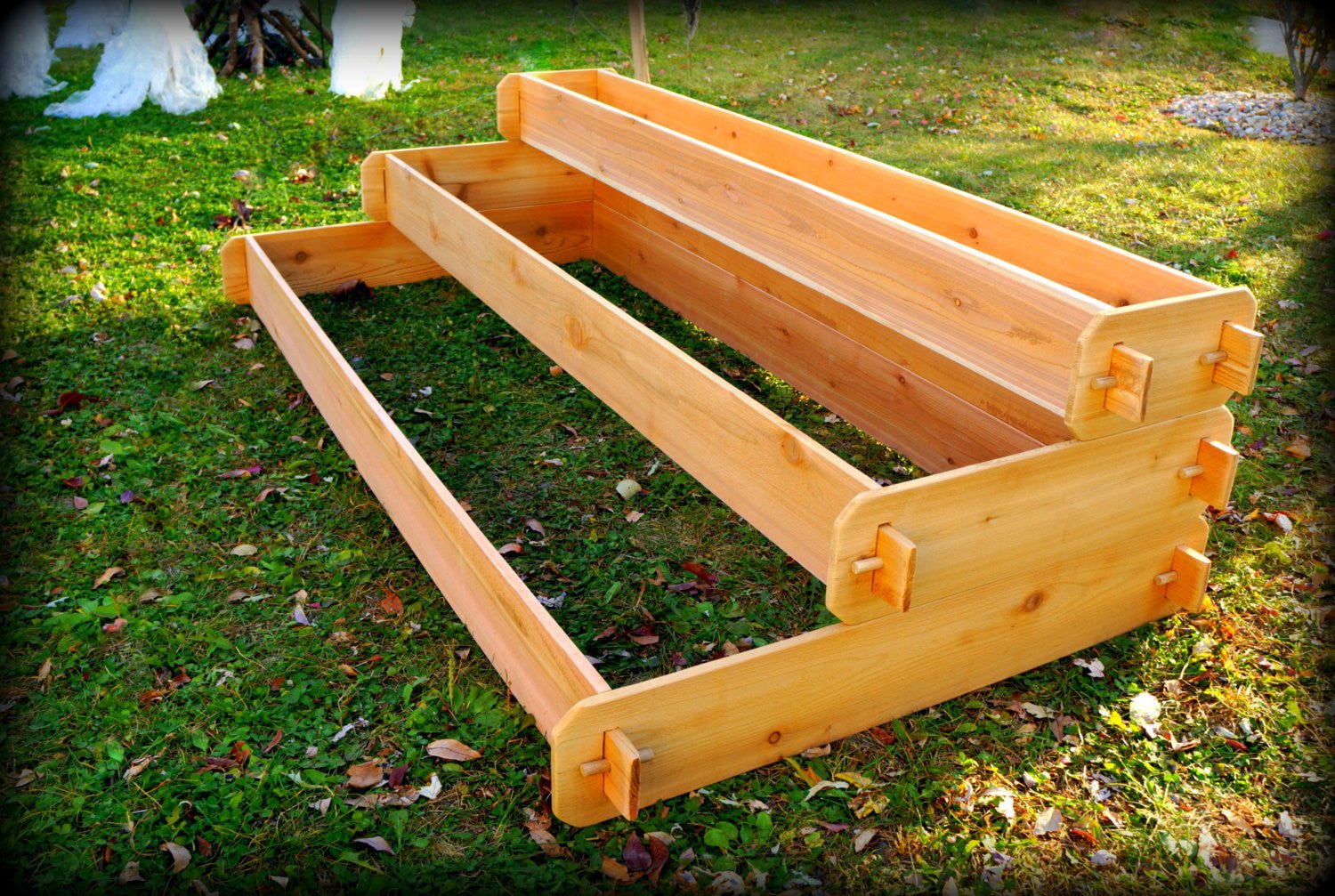 Timberlane Gardens Raised Garden Bed Kit Large 3 Tiered (1x6 2x6 3x6) Select Cedar Elevated Planter - Cheeky Garden